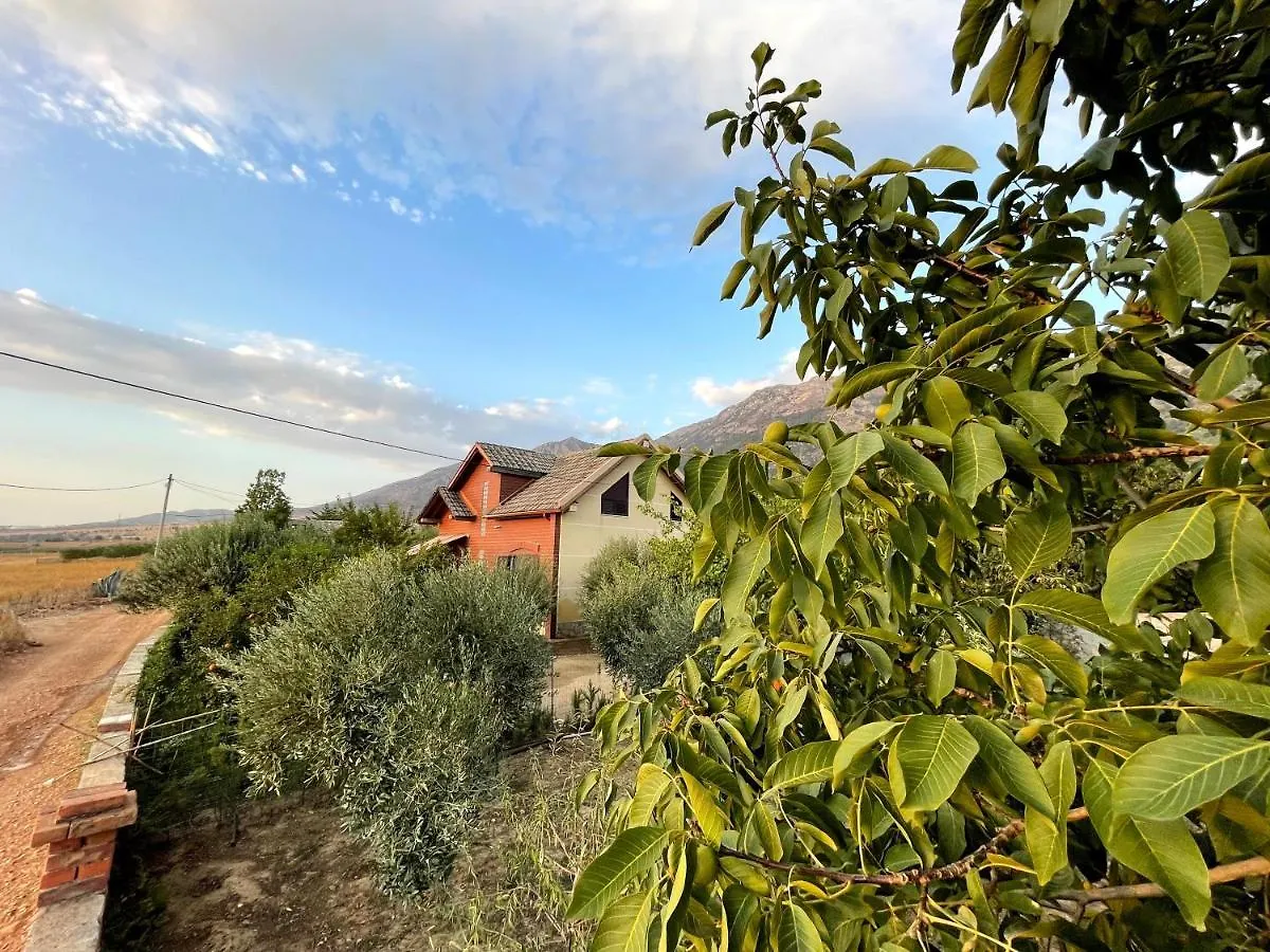 Green Coast Villa - Tragjas Village Vlorë